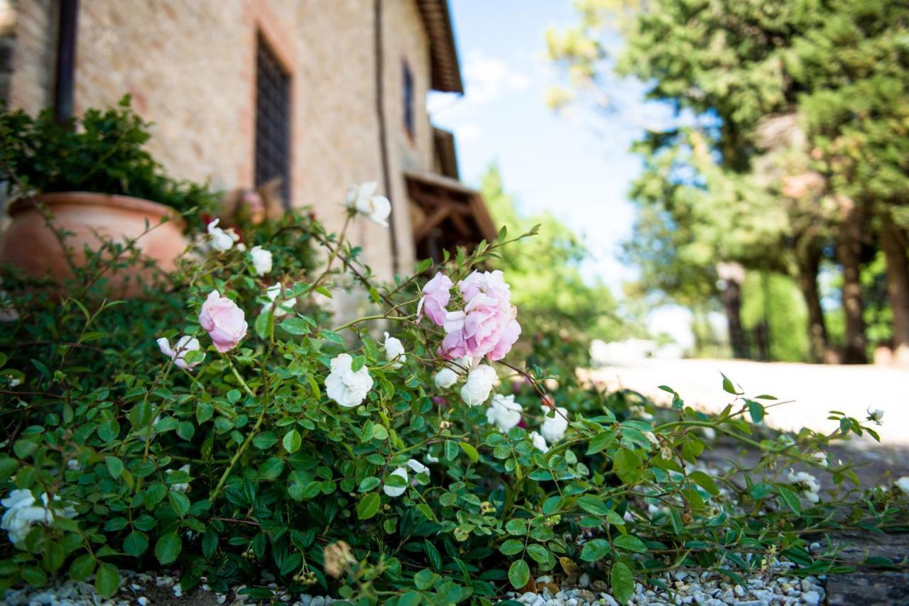 Villamena Assisi Dış mekan fotoğraf